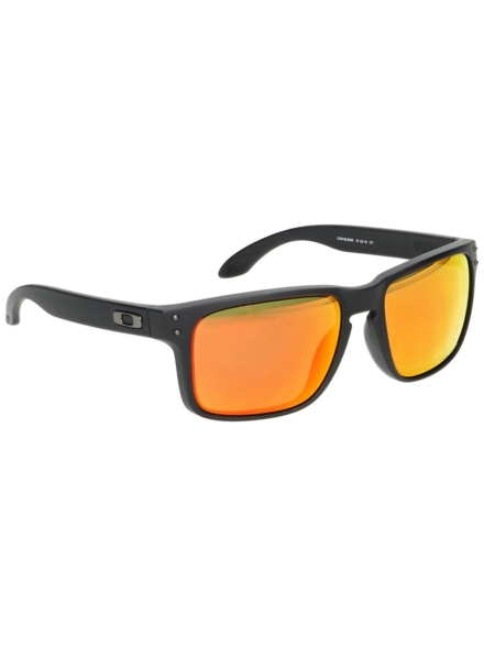 Oakley Holbrook Matte zwart zwart