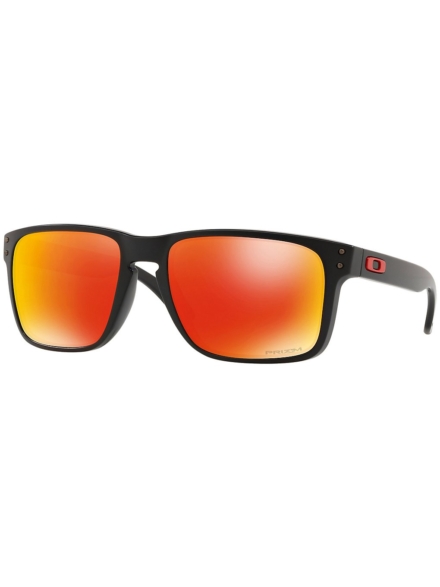 Oakley Holbrook XL Matte zwart zwart