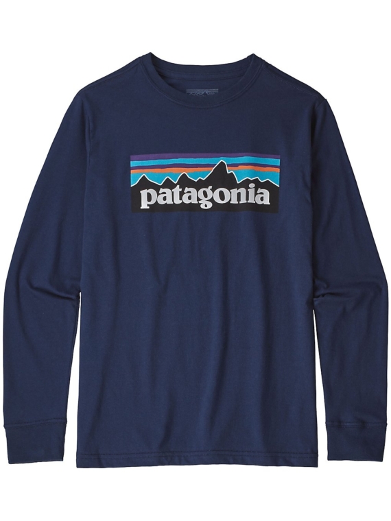 Patagonia Graphic Organic Long Sleeve T-Shirt blauw