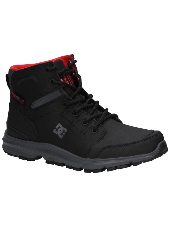 DC Torstein schoenen zwart