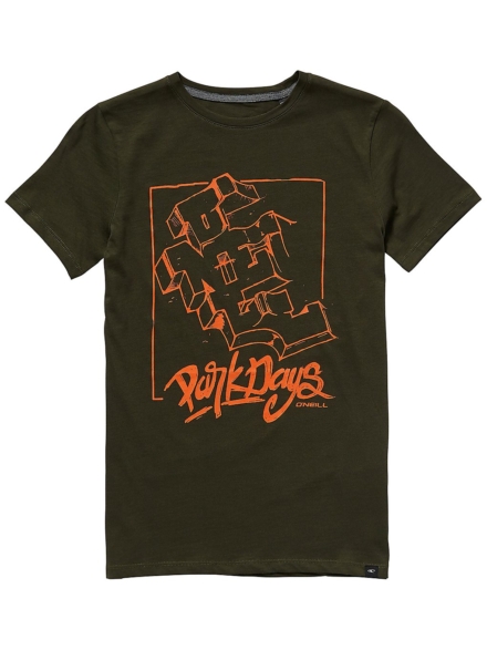 O'Neill Park Days T-Shirt groen