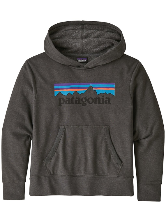 Patagonia LW Graphic Hoodie grijs