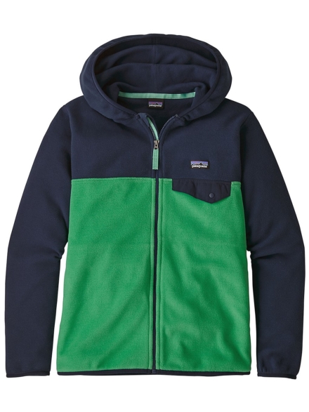 Patagonia Micro D Snap-T Fleece Ski jas groen