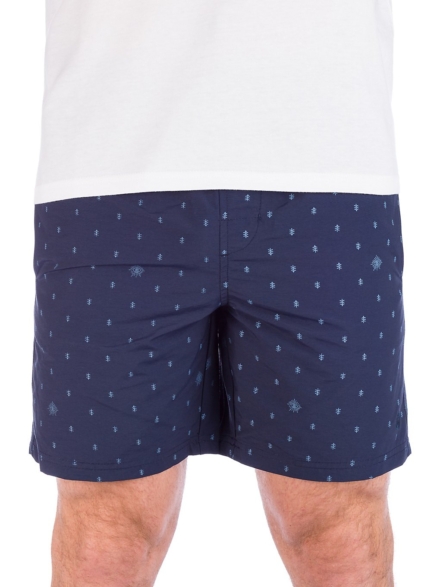 Element Arrowrock korte broek blauw
