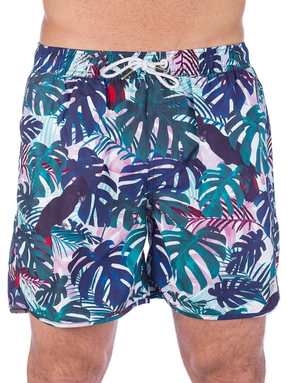 Dedicated Color Leaves Boardshorts groen