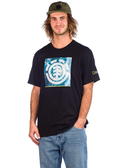 Element Solvent Icon T-Shirt zwart