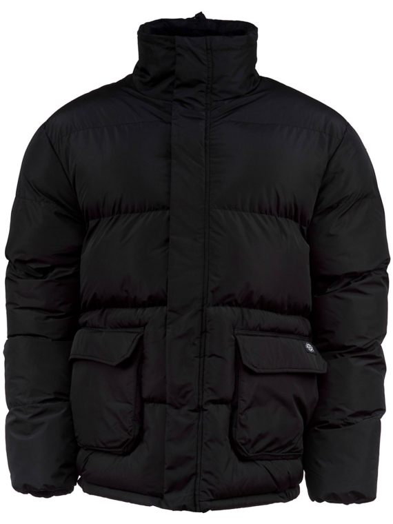 Dickies Olaton Ski jas zwart