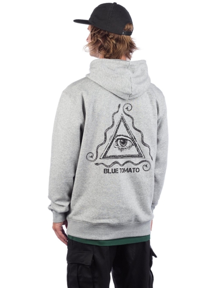 Blue Tomato Visions Hoodie grijs