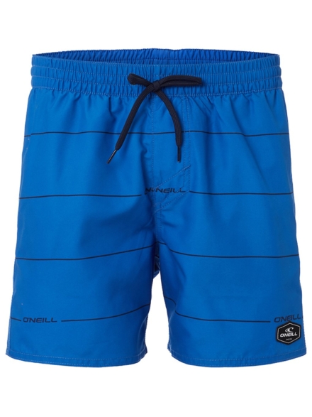 O'Neill Contourz Boardshorts blauw