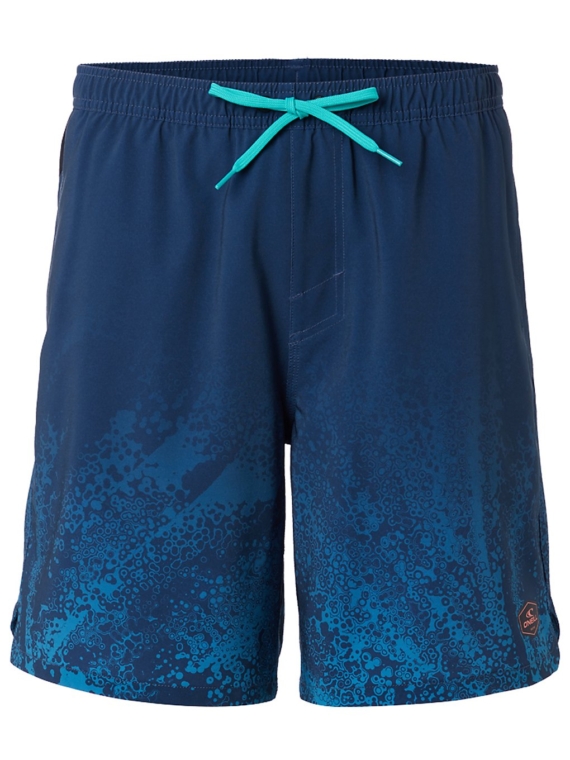 O’Neill All Day Hybrid Boardshorts blauw