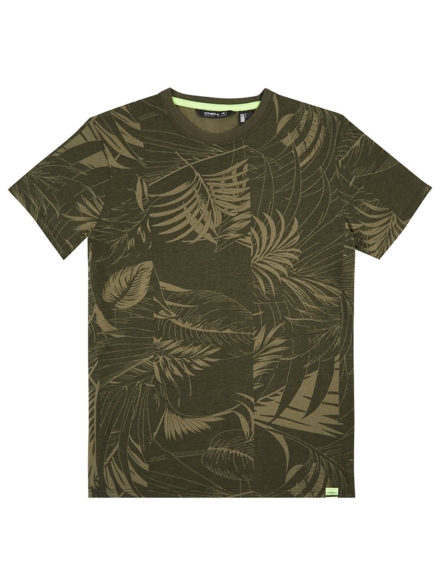 O'Neill Isaac Aop T-Shirt groen