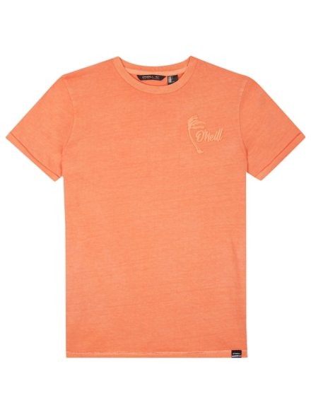 O'Neill Carter Washed T-Shirt oranje