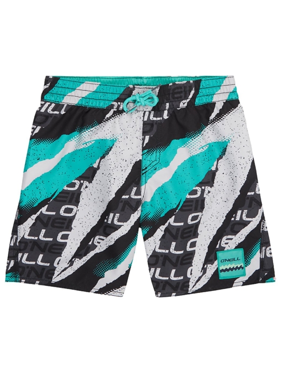 O’Neill Teardown Boardshorts groen