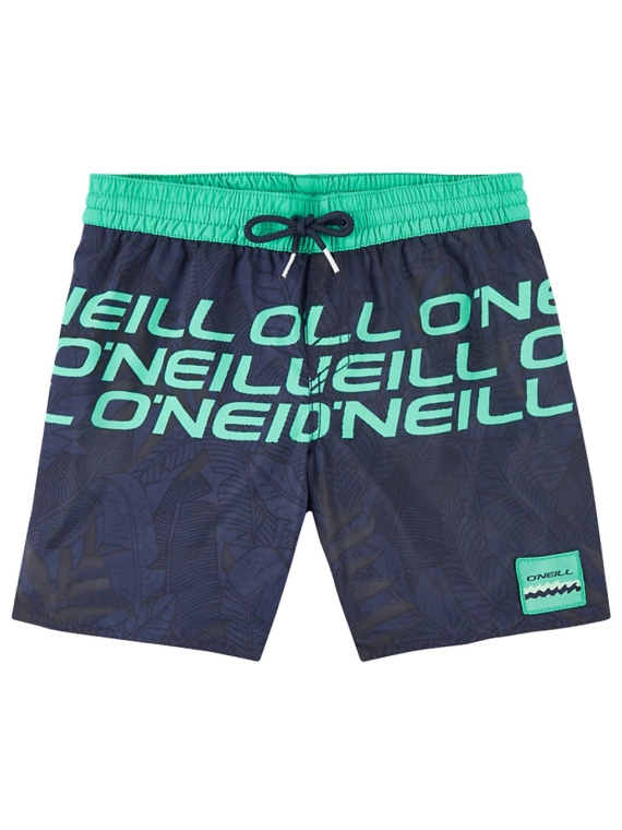 O’Neill Stacked Boardshorts blauw