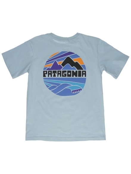Patagonia Graphic Organic T-Shirt blauw
