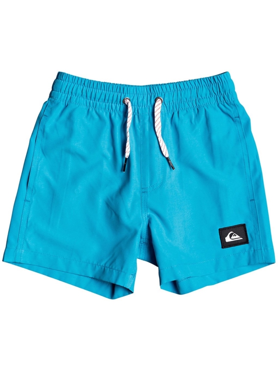 Quiksilver Everyday Volleys 11 Boardshorts patroon