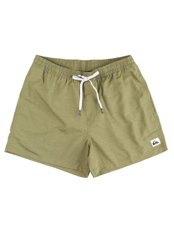 Quiksilver Everyday Volley 15 Boardshorts groen