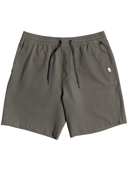Quiksilver Union Elastic Amphibian 18 Boardshorts paars