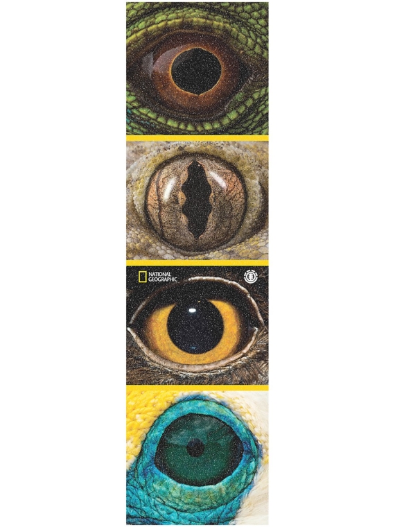 Element Nat Geo Eye Quad Griptape blauw