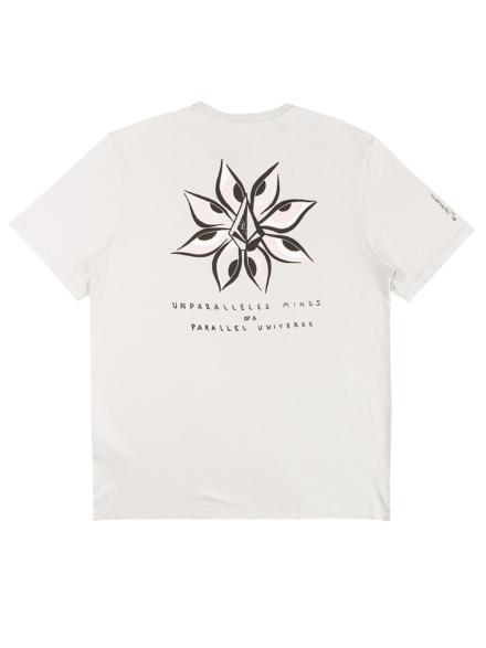 Volcom Ryan Burch T-Shirt grijs