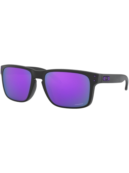 Oakley Holbrook XL Matte zwart zwart