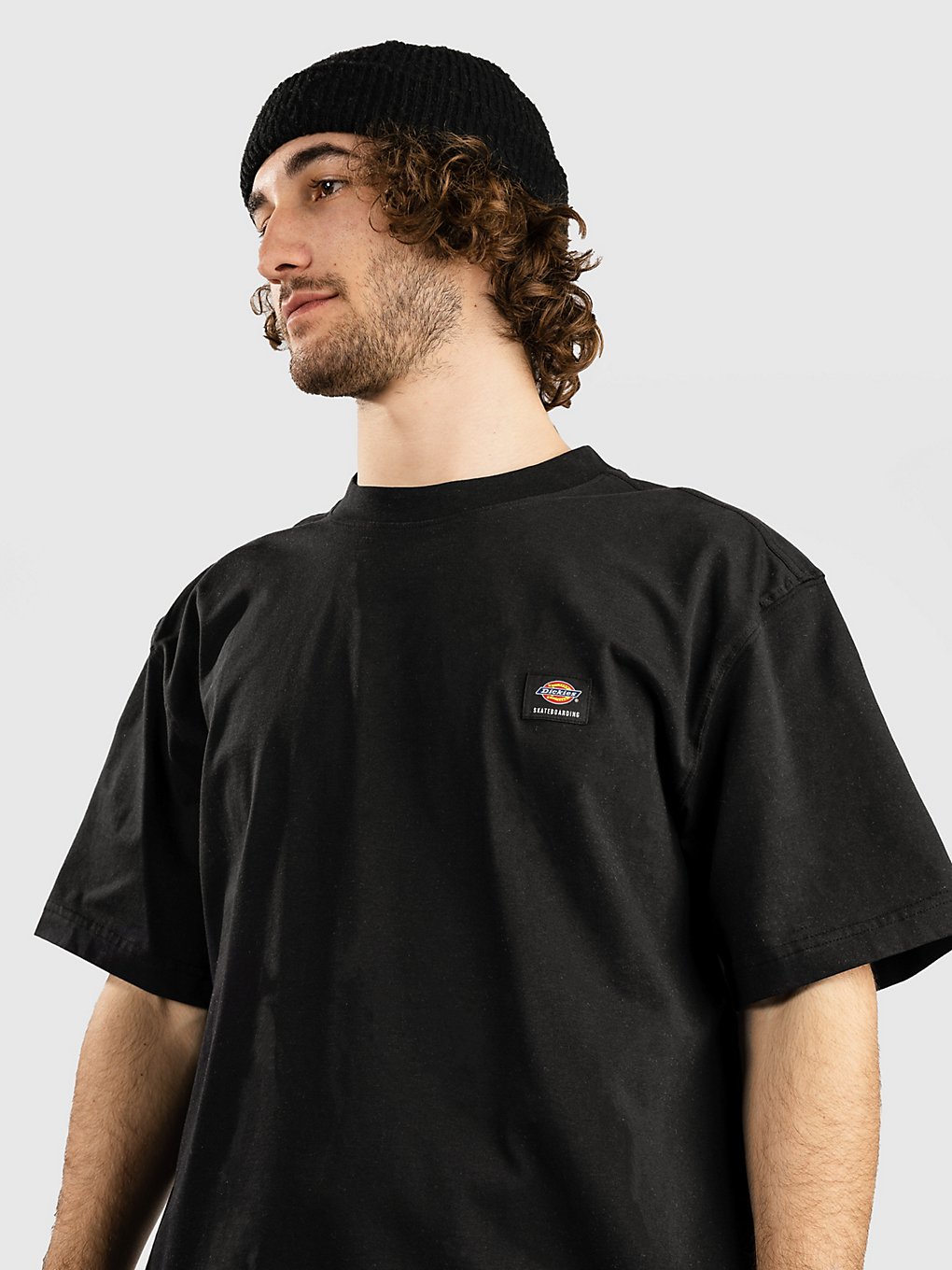 Dickies Mount Vista T-Shirt zwart