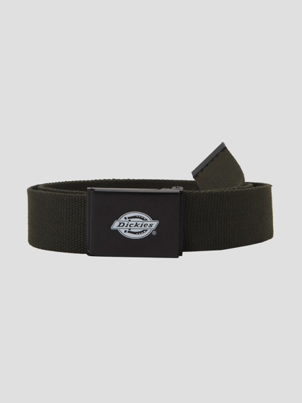 Dickies Orcutt Webbing Riem groen