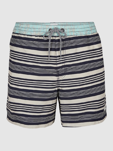 O'Neill Horizon Stripe Boardshorts blauw