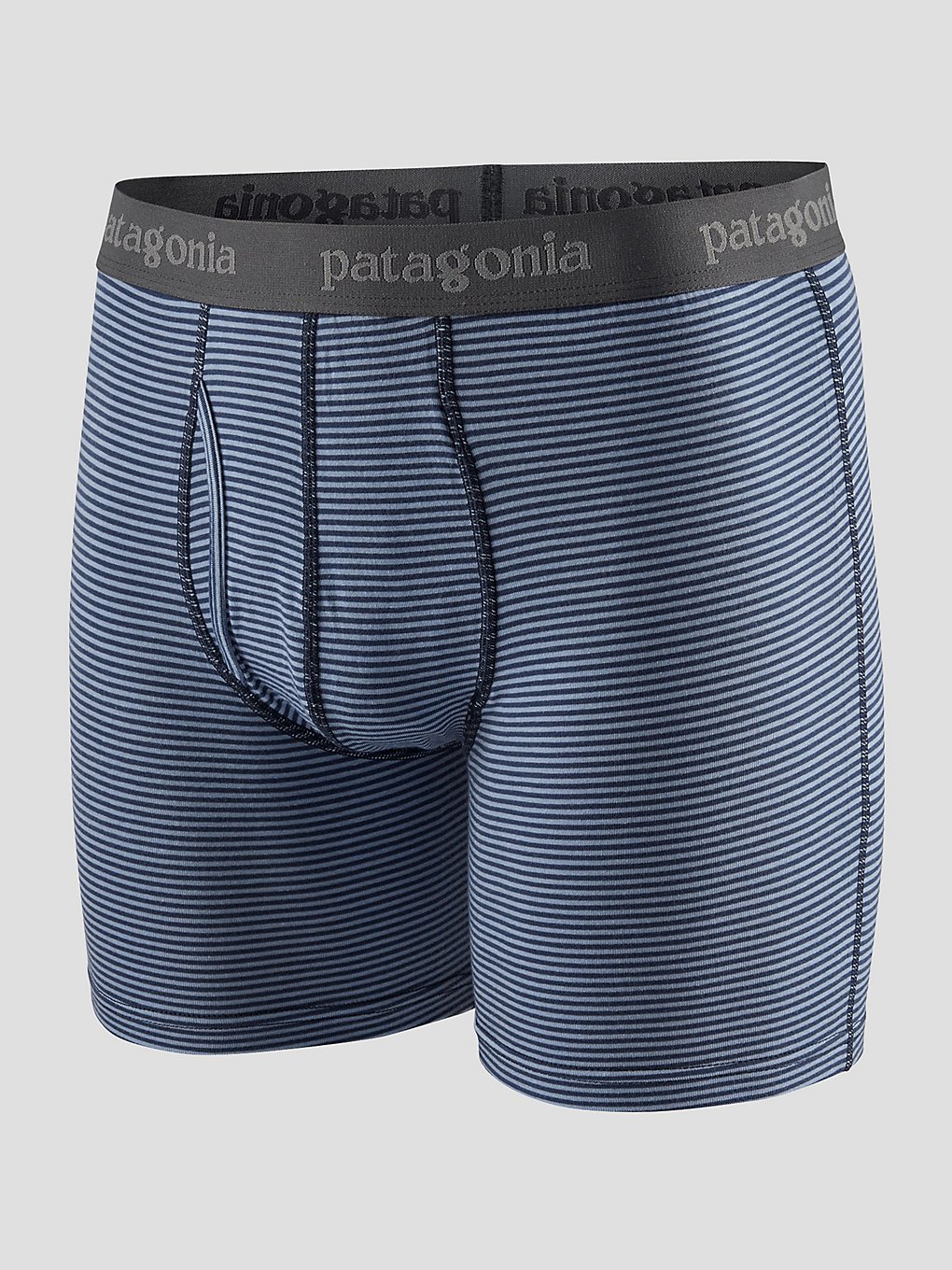 Patagonia Essential Briefs 6 In. Boxershorts blauw