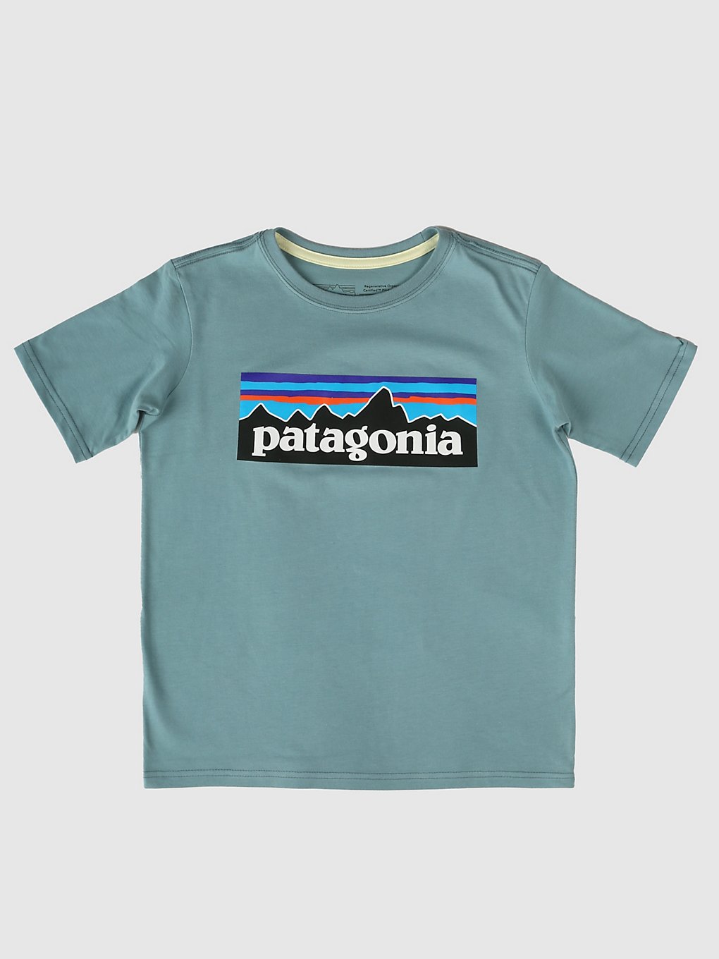 Patagonia Regenerative Organic Certified Cotton P- T-Shirt blauw