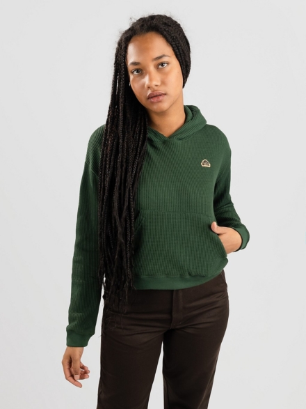 Coal Ruby Beach Hoodie groen
