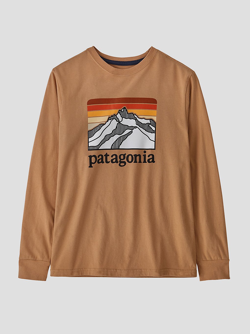 Patagonia Regenerative Organic Certified Cotton Gr Longsleeve T-Shirt bruin