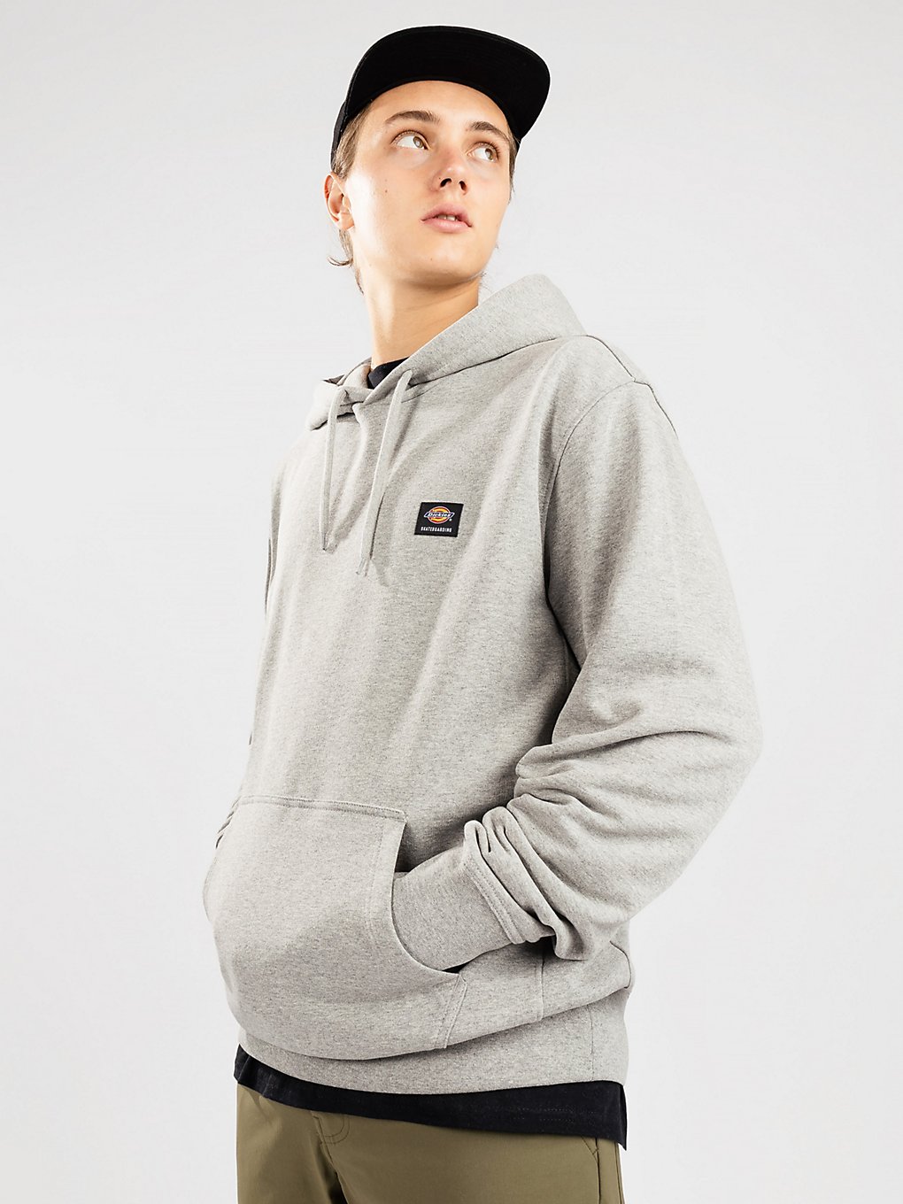 Dickies Mount Vista Hoodie grijs