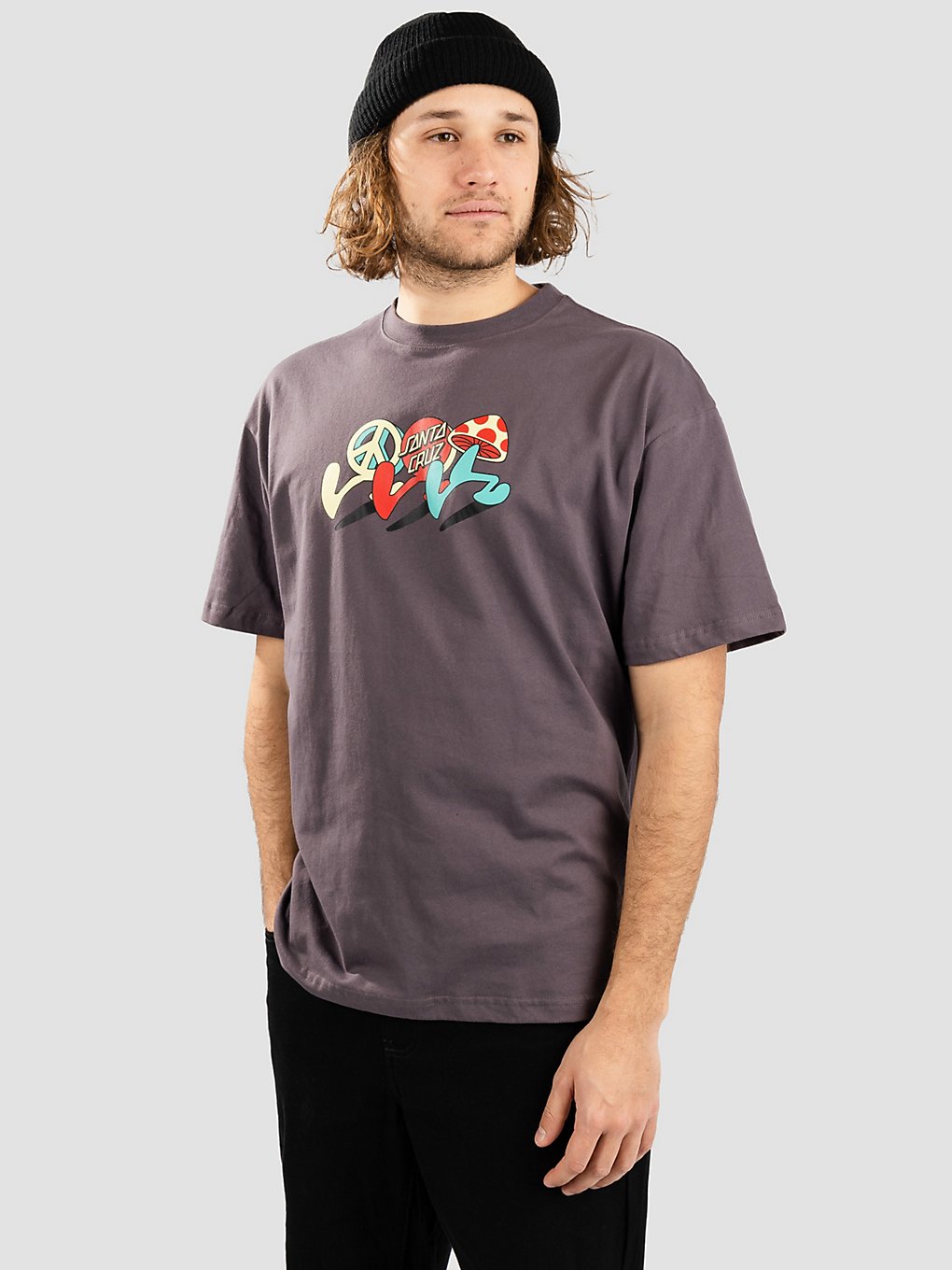 Santa Cruz Journey T-Shirt grijs