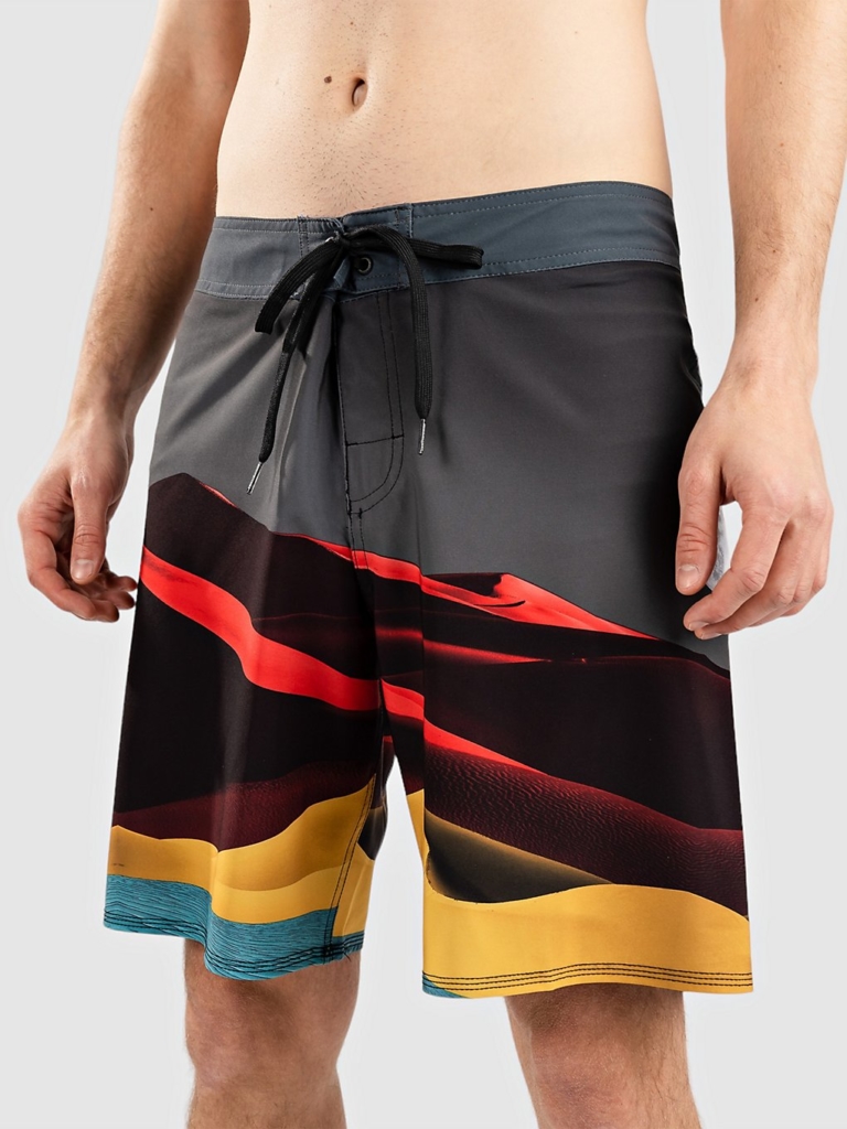 DC Radial Vibe 19″ Boardshorts zwart