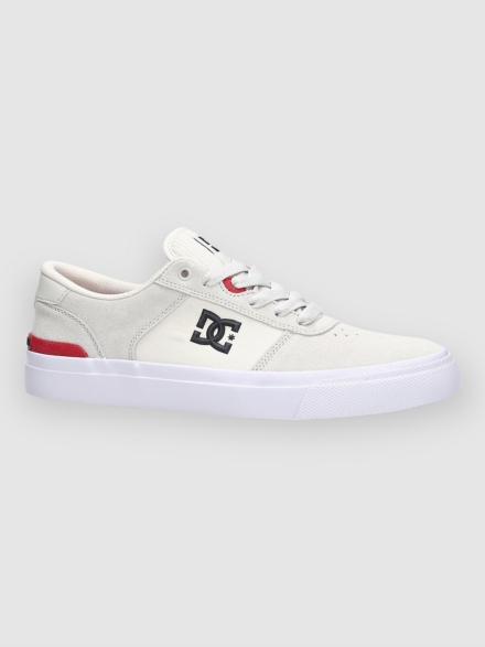 DC Teknic S Skateschoenen
