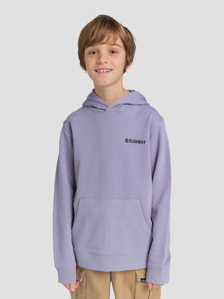 Element Blazin Chest Hoodie