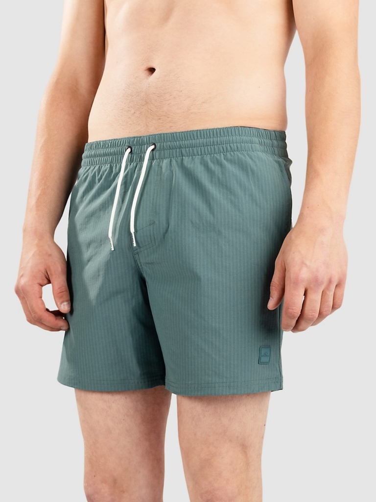 O’Neill Vert Camorro 16” Boardshorts blauw