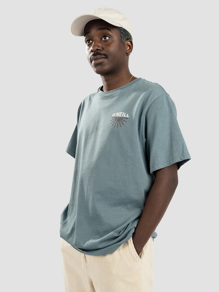 O’Neill Albor T-Shirt blauw