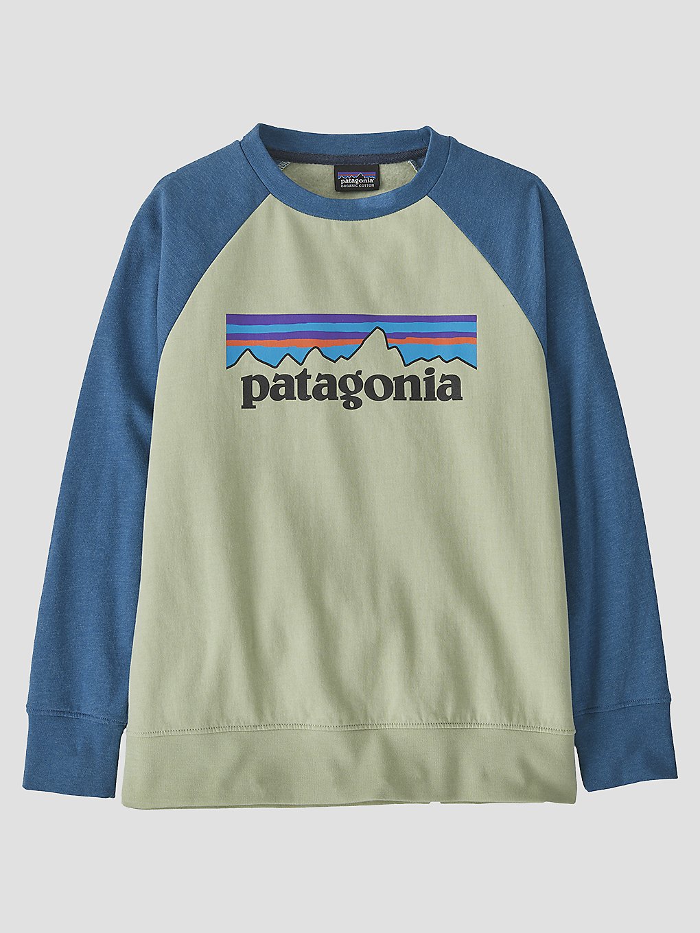 Patagonia Lw Crew Trui groen