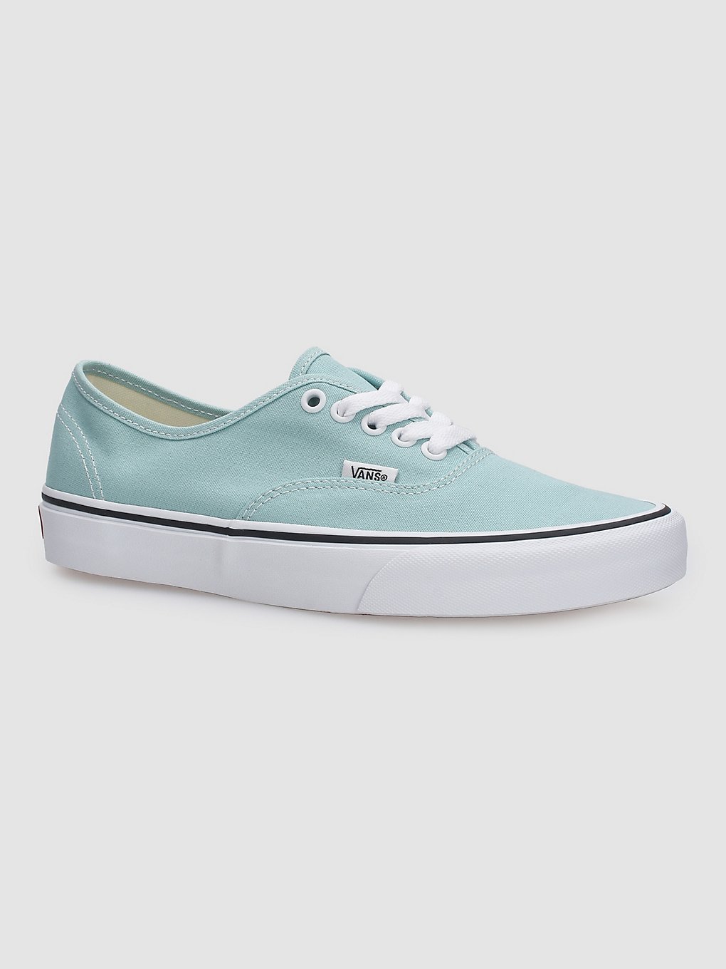 Vans Authentic Sneakers blauw