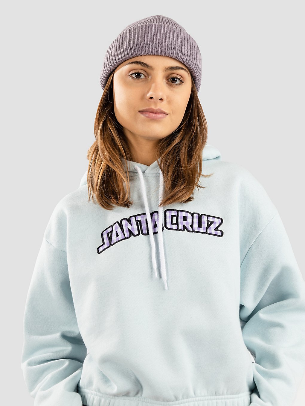 Santa Cruz Gingham Arch Strip Hoodie blauw