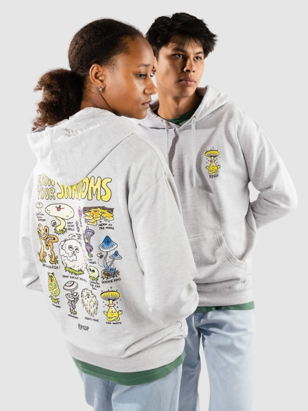 RIPNDIP Know Ur Shrooms Hoodie grijs
