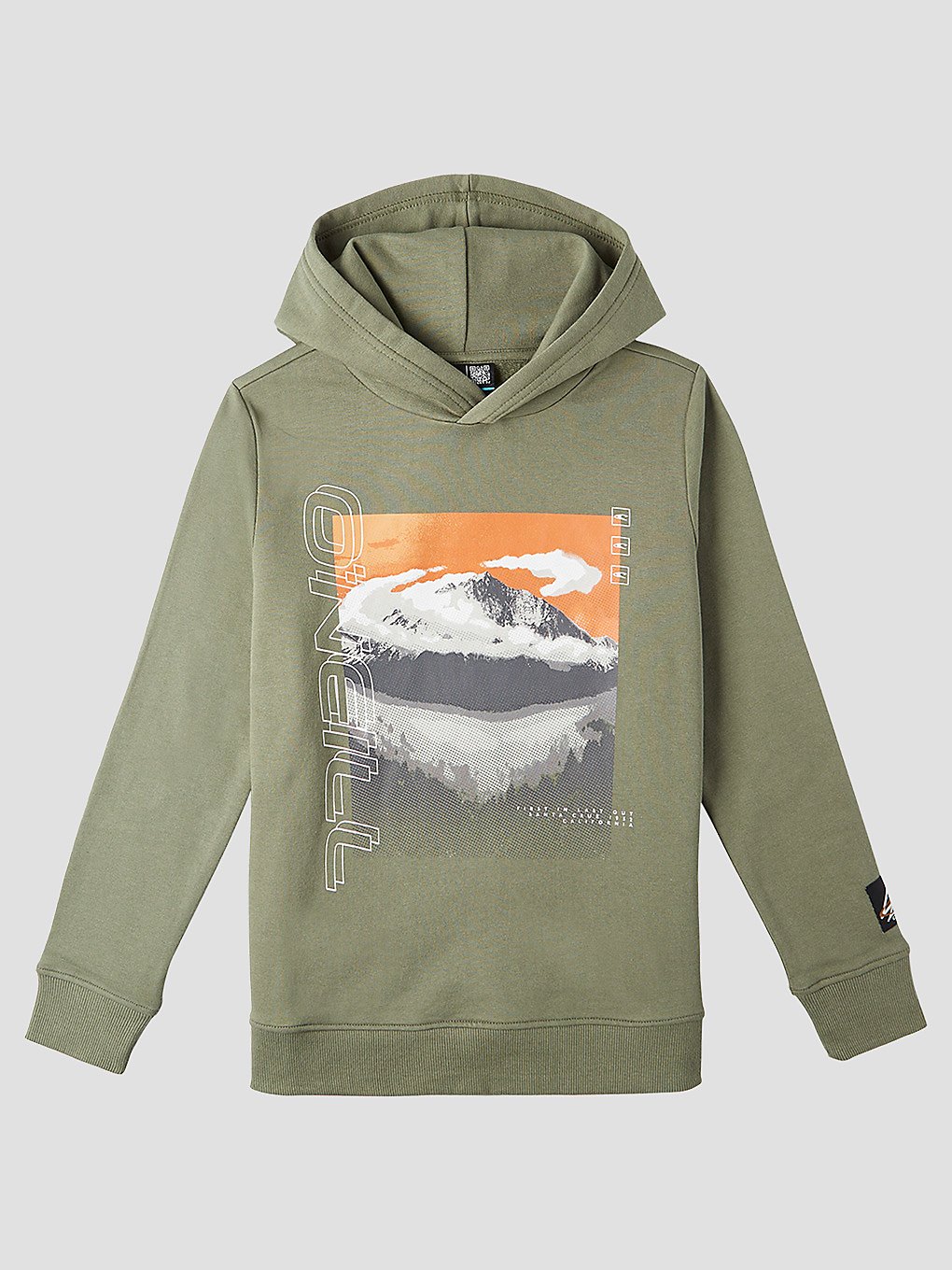 O'Neill Seaview Hoodie groen