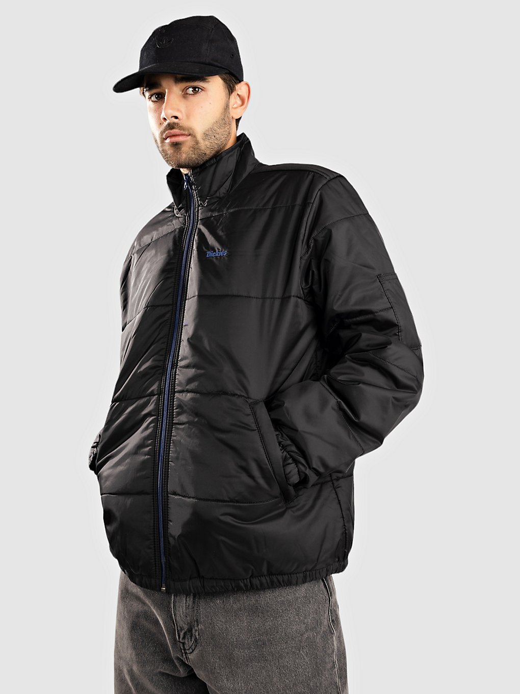 Dickies Tom Knox Full Zip Puffer Jas zwart