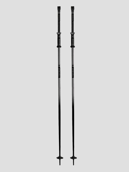 Armada Triad 2024 Ski stokken grijs