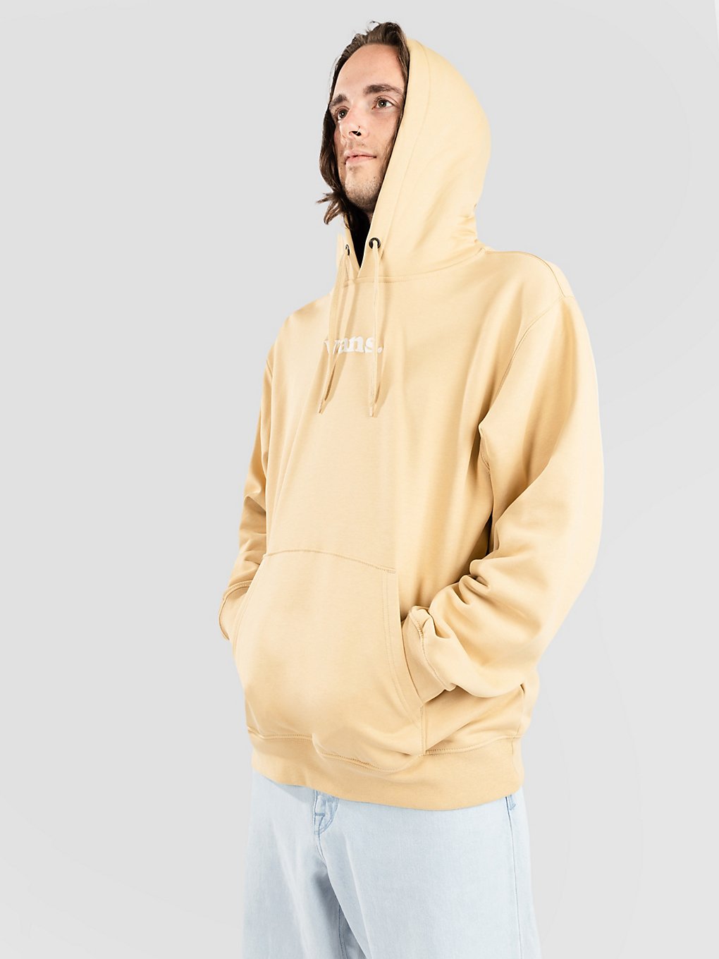 Vans Lowered Loose Hoodie bruin