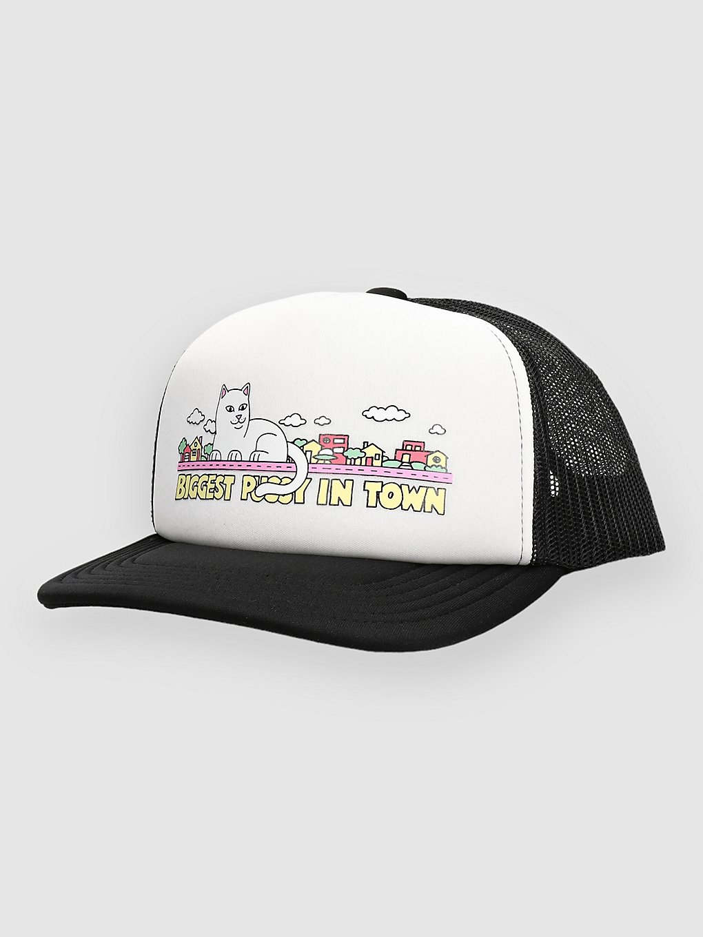 RIPNDIP My Neighborhood Trucker petje zwart