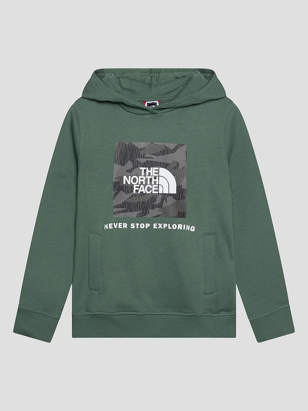 THE NORTH FACE t-shirtns Box P/O Hoodie groen