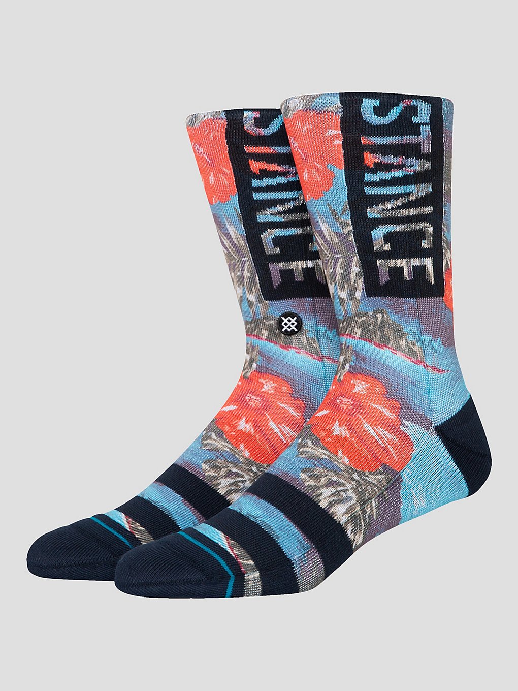 Stance Og Cocopalms skisokken blauw